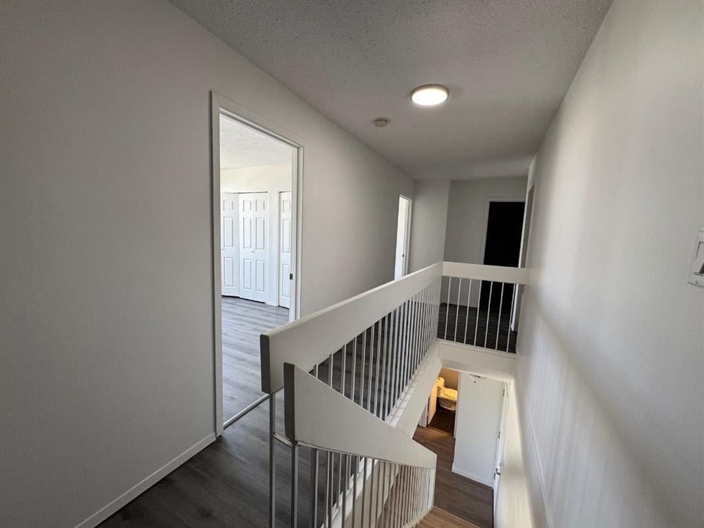 21 Macdonald - Thumbnail 8