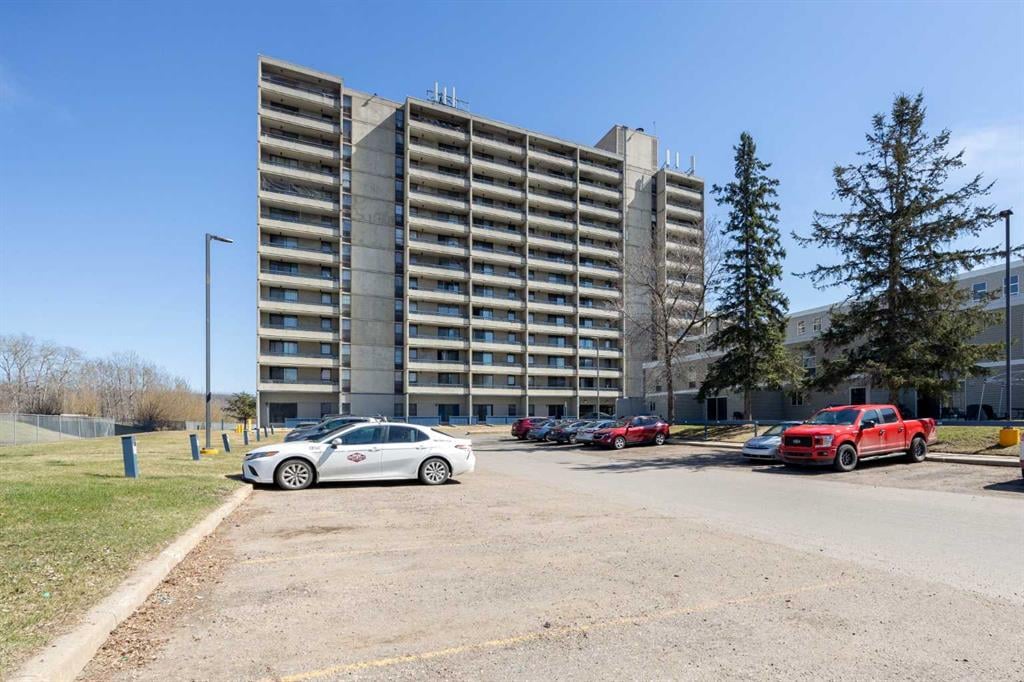 21 Macdonald - Thumbnail 7