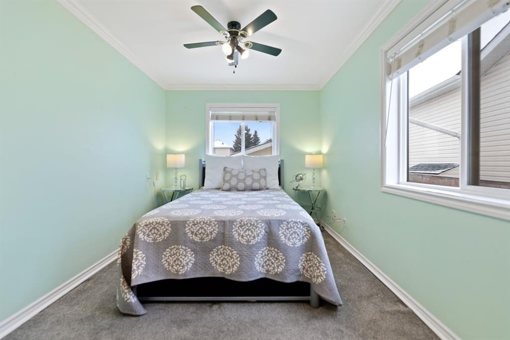 228 Taradale - Thumbnail 7