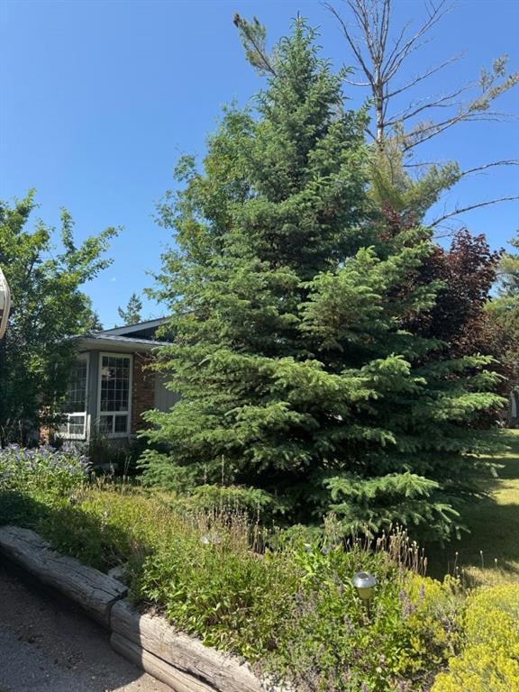 431 Queen Charlotte - Thumbnail 6