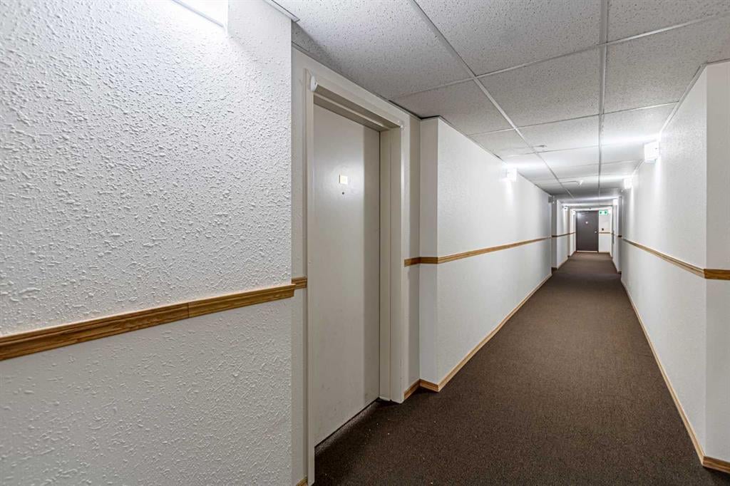 92 Saddletree - Thumbnail 2