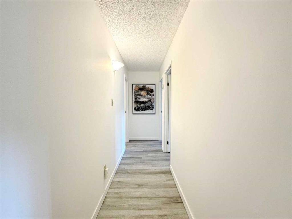 315 Southampton - Thumbnail 6