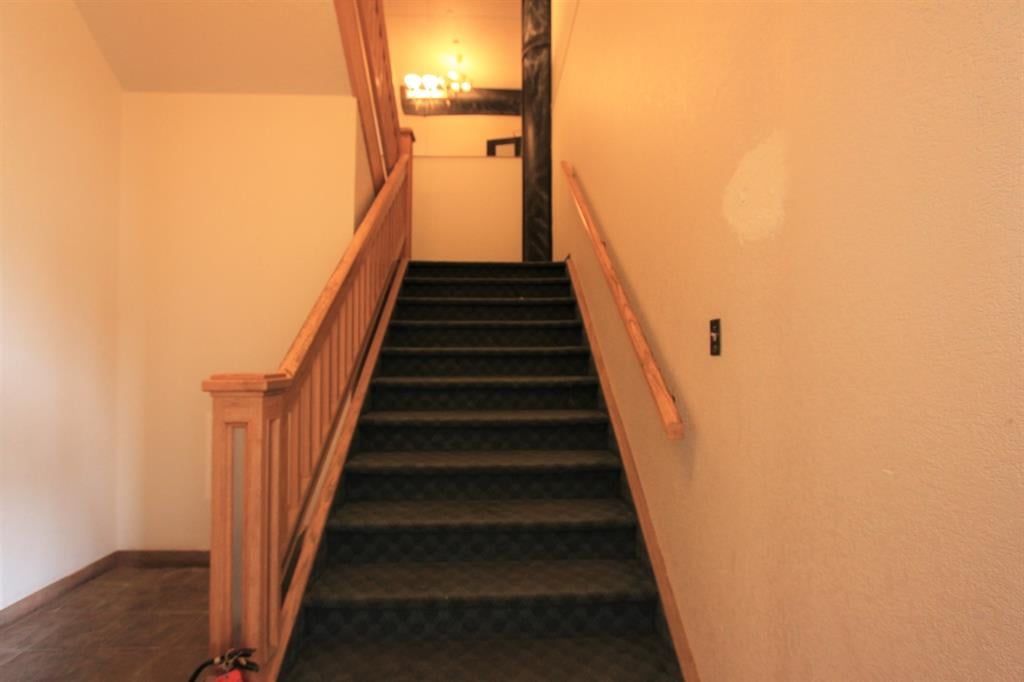 4410 52 - Thumbnail 5