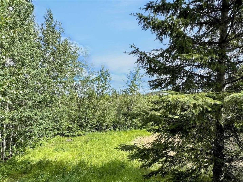 57 Poplar - Thumbnail 3