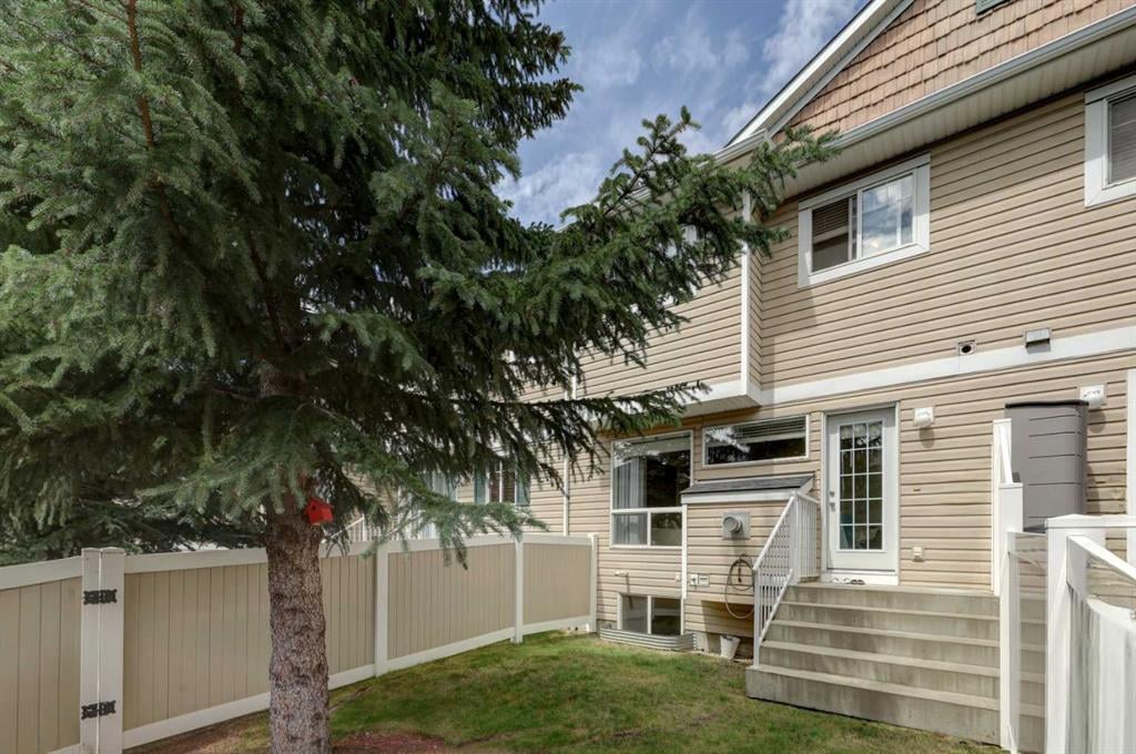 93 Royal Birch - Thumbnail 5