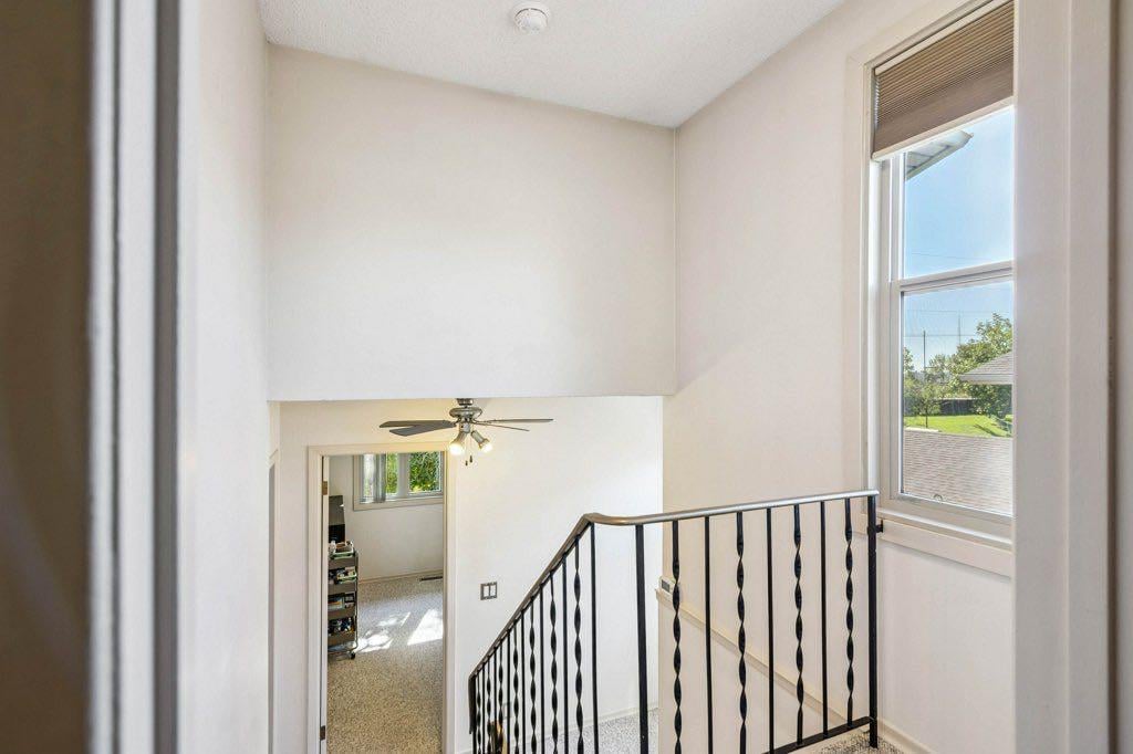 153 Mckinnon - Thumbnail 5