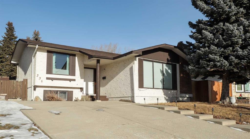 236 Pinetree - Thumbnail 8