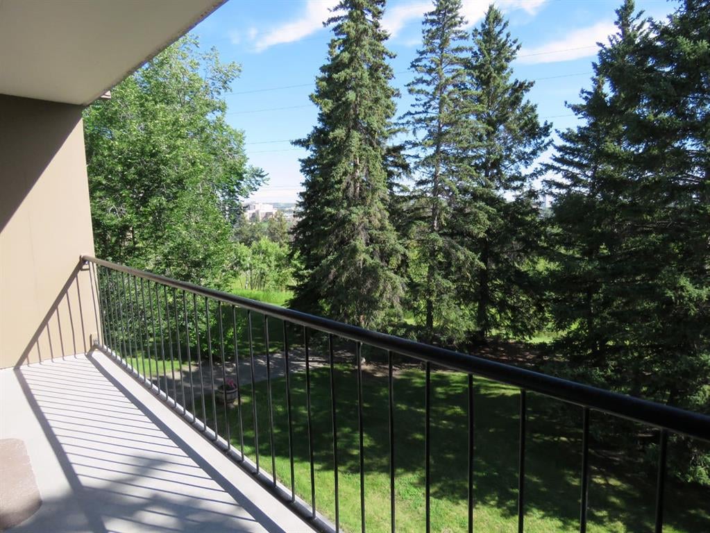 328 Cedar - Thumbnail 5