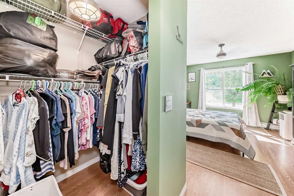 6900 Hunterview - Thumbnail 7