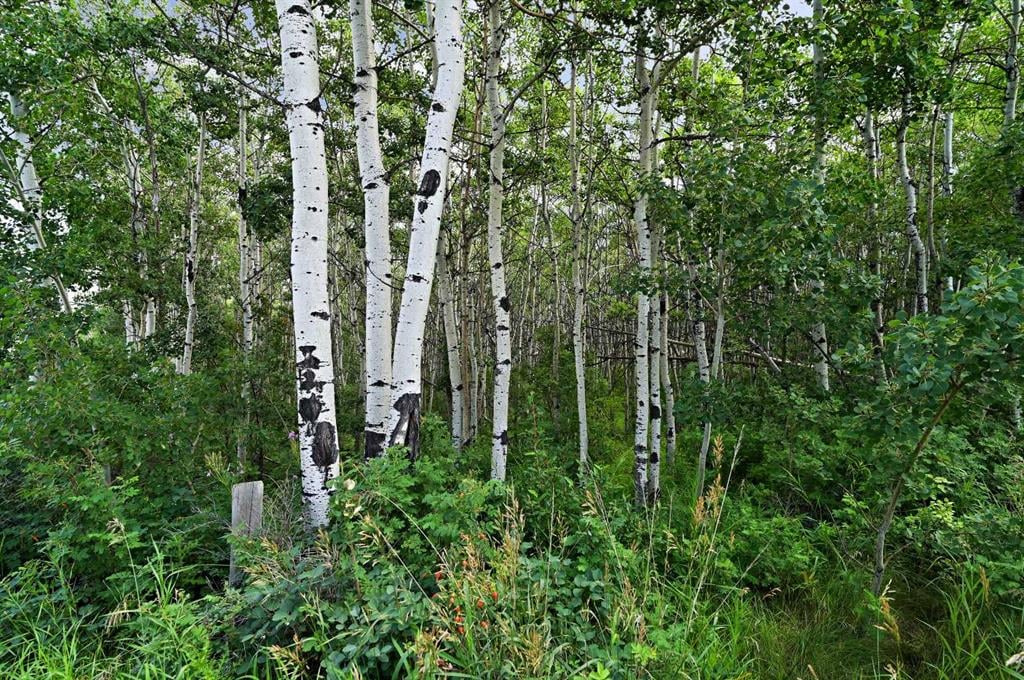 211 Aspen Stone - Thumbnail 7