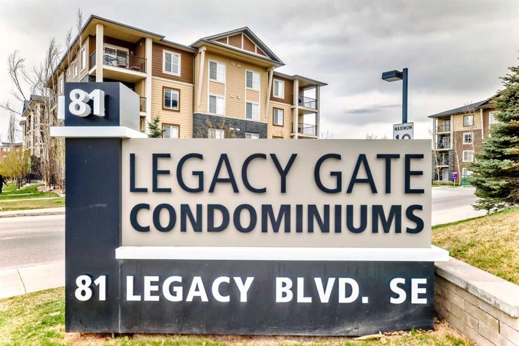 81 Legacy - Thumbnail 8