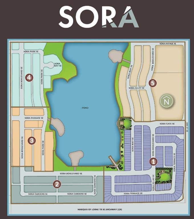 448 Sora - Thumbnail 5