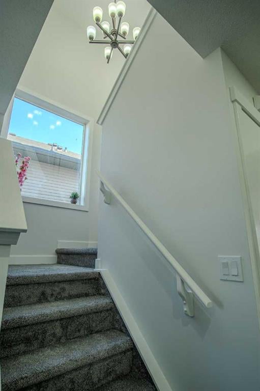 23 Saddlebrook - Thumbnail 8