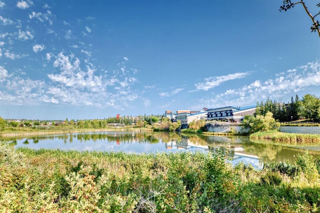 124 Spring Creek - Thumbnail 4