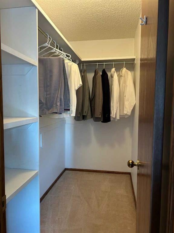 164 Hawkhill - Thumbnail 8