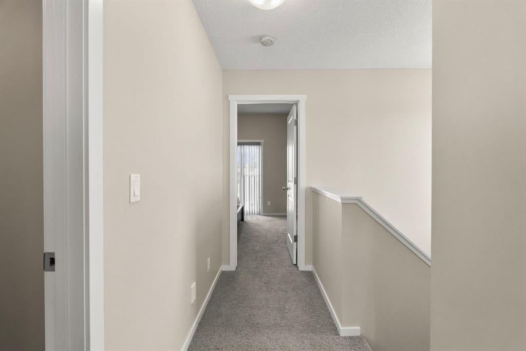 187 Savanna - Thumbnail 6