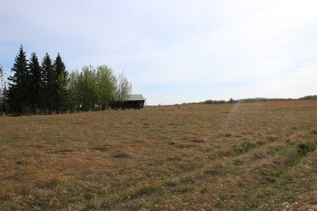22 Glenview - Thumbnail 4