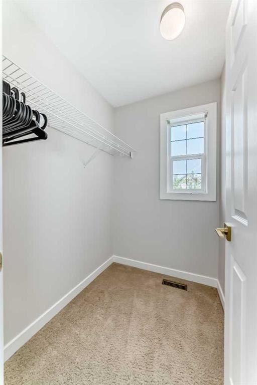 210 Copperleaf - Thumbnail 3