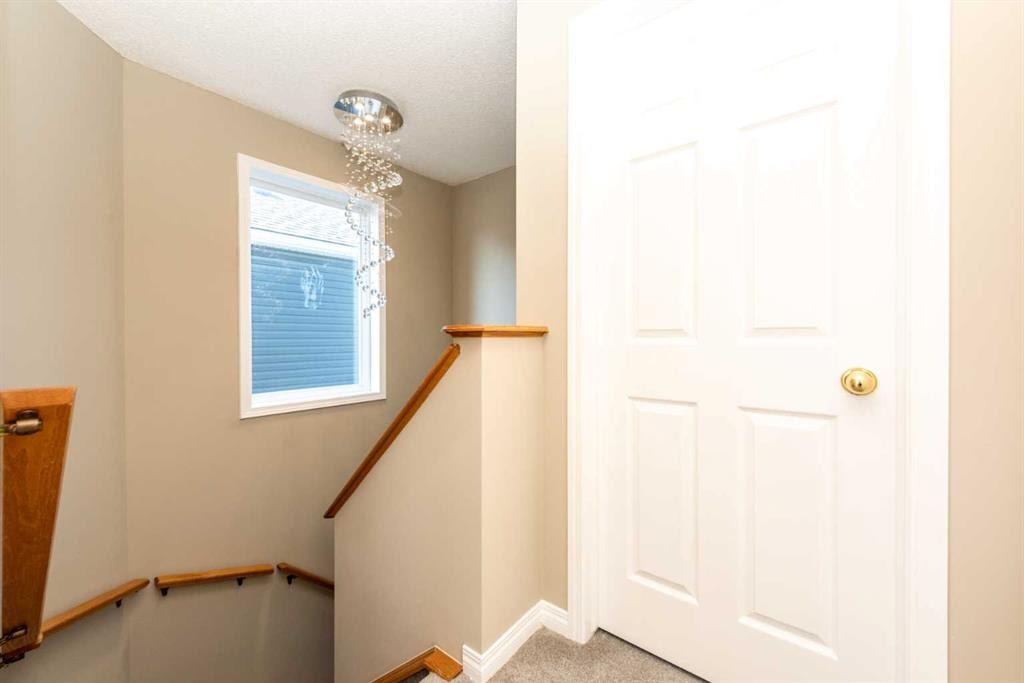 103 Saddlemead - Thumbnail 4