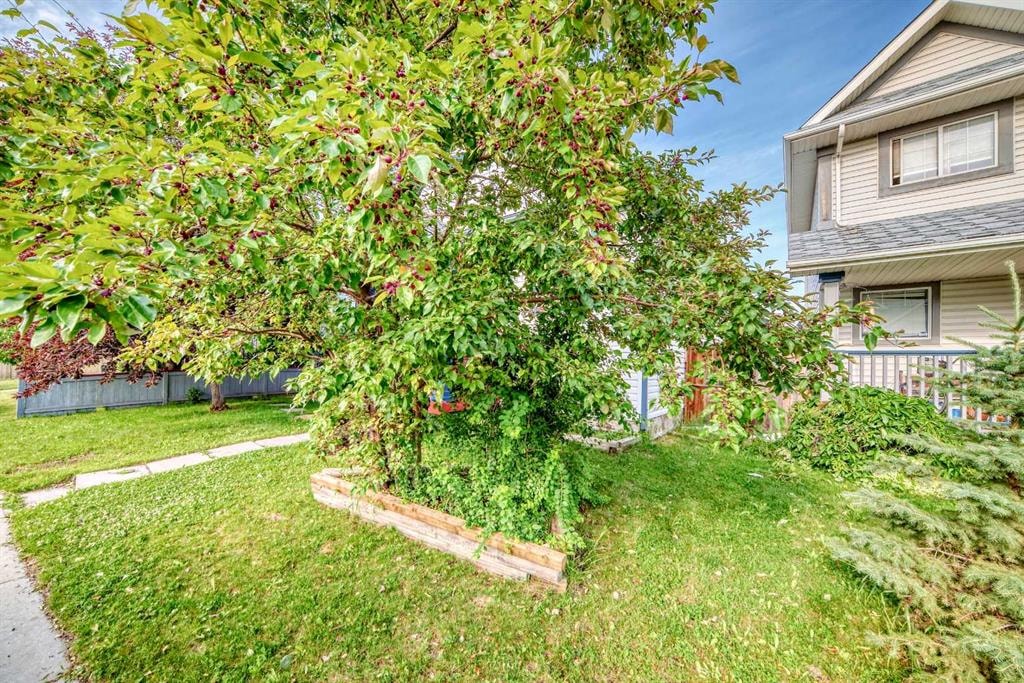 128 ERIN MEADOW - Thumbnail 4