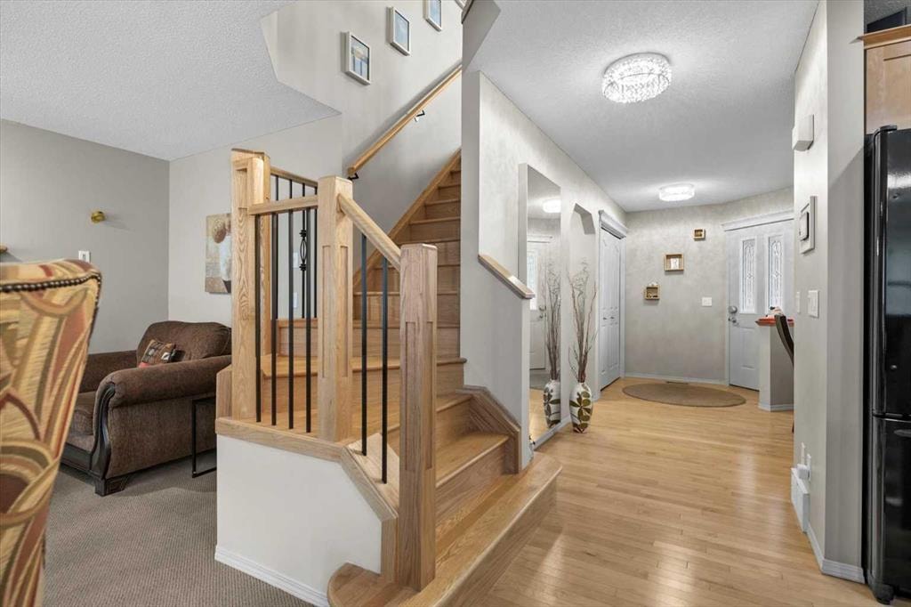 271 Royal Birch - Thumbnail 3