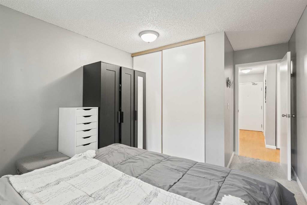 393 Patterson - Thumbnail 2