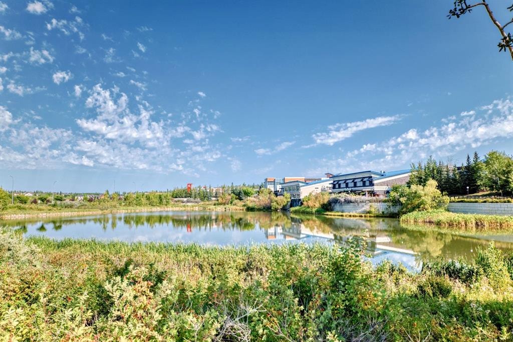 124 Spring Creek - Thumbnail 4