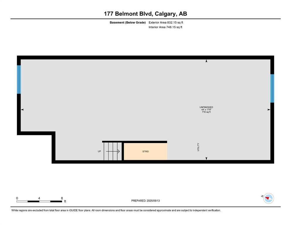 177 Belmont - Thumbnail 4