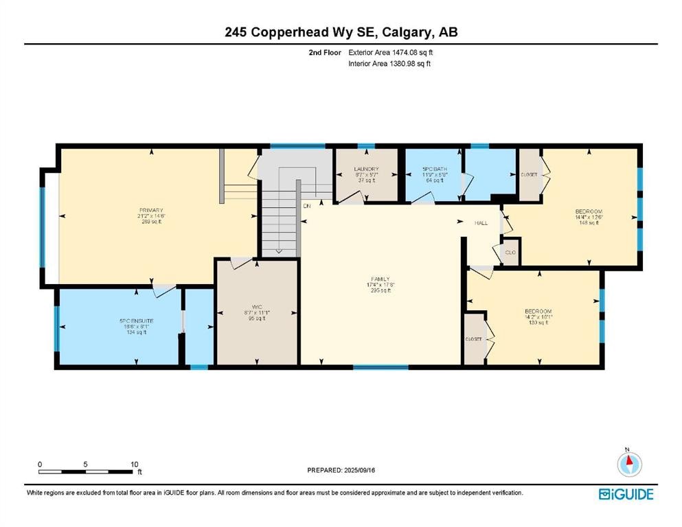 245 Copperhead - Thumbnail 4