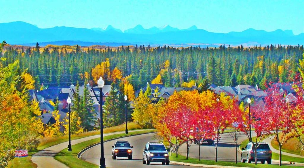 20 Discovery Ridge - Thumbnail 2