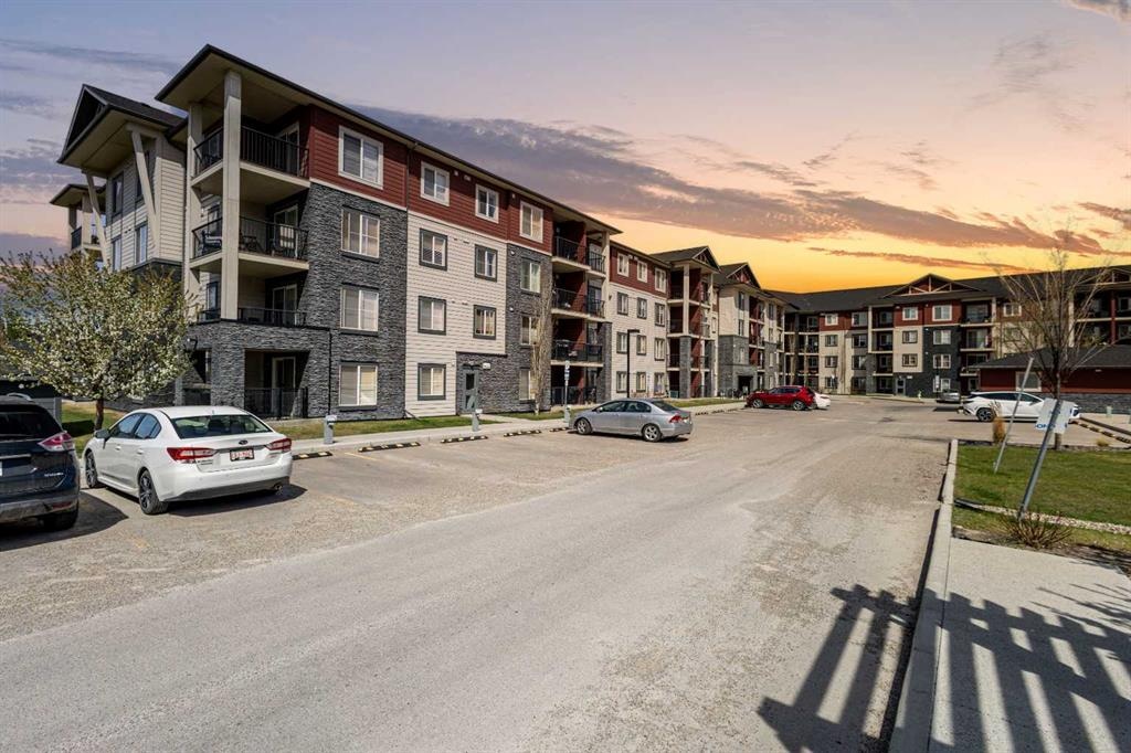 81 Legacy - Main Image