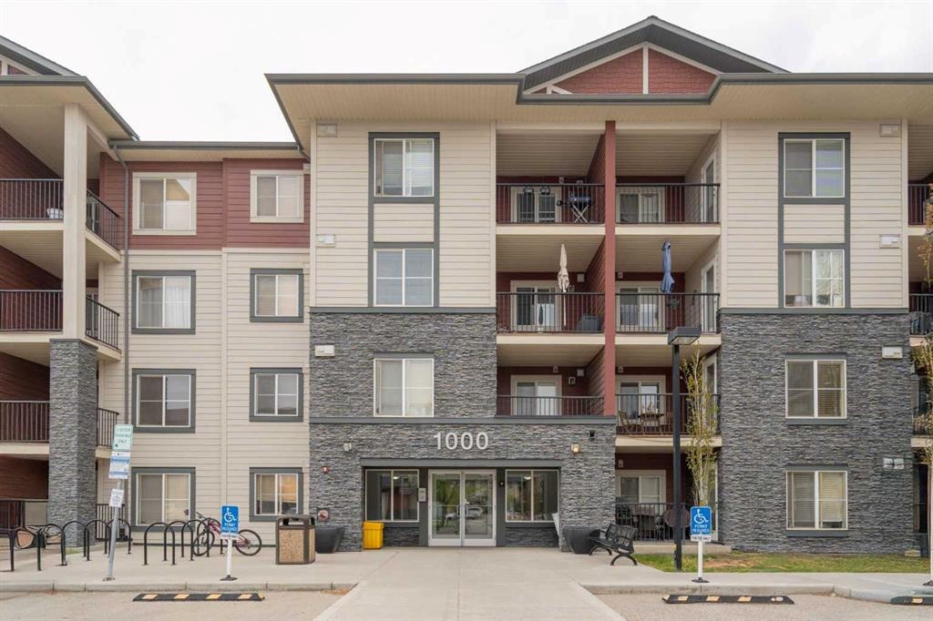 81 Legacy - Main Image