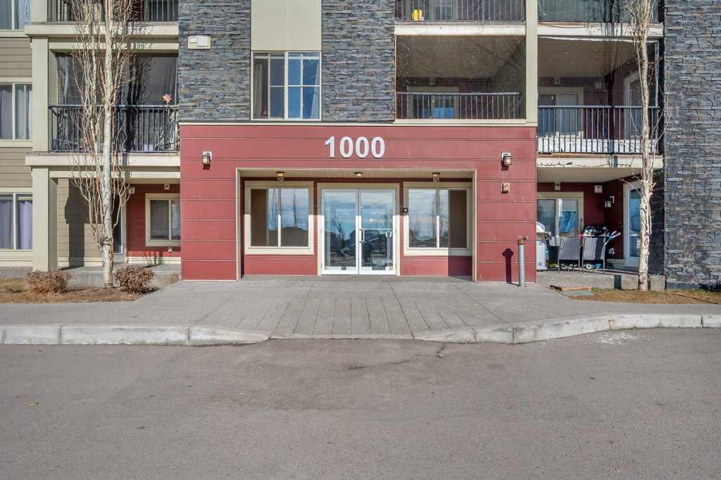 5 Saddlestone - Main Image