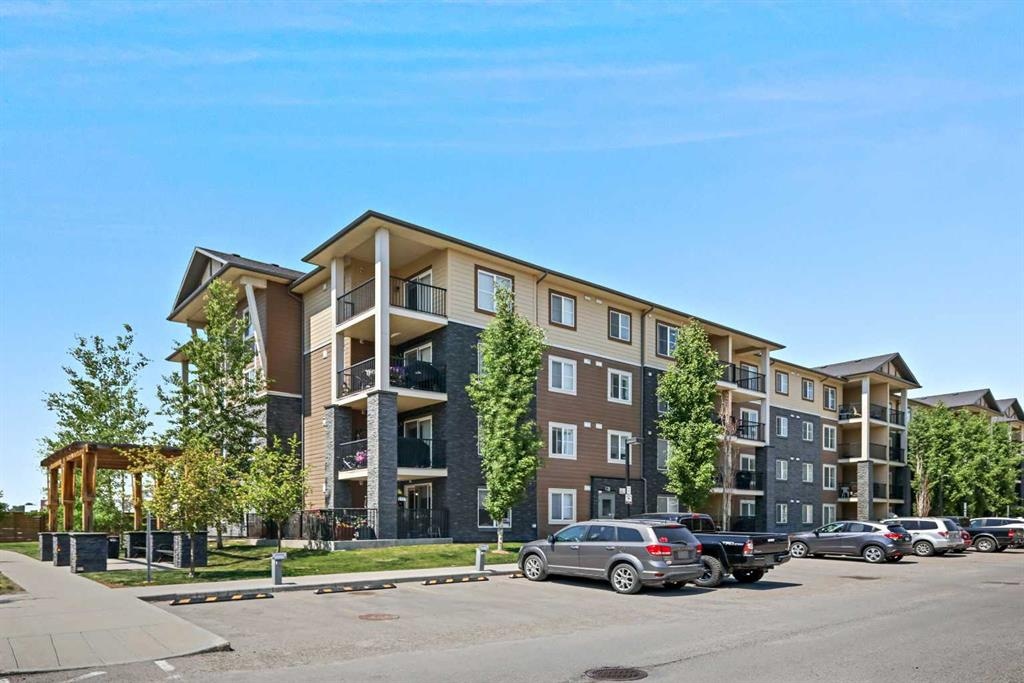81 Legacy - Main Image