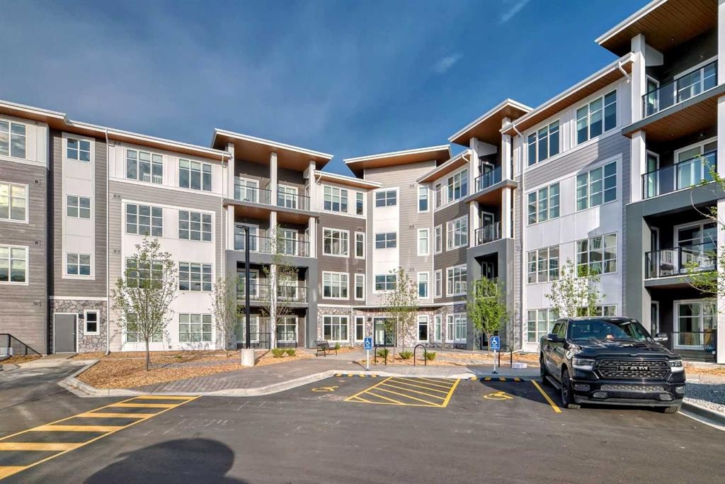 681 Savanna - Main Image