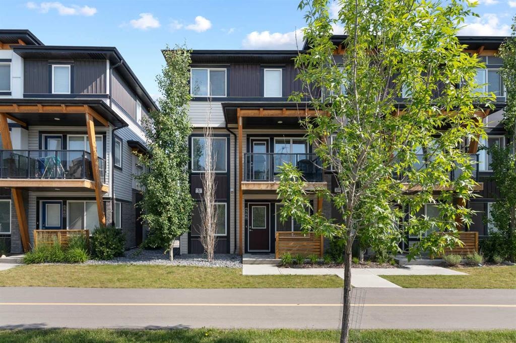 566 Savanna - Main Image
