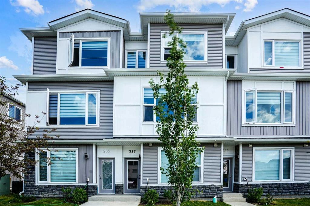 237 Saddlepeace - Main Image