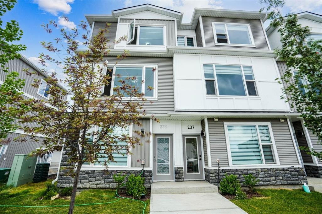 235 Saddlepeace - Main Image