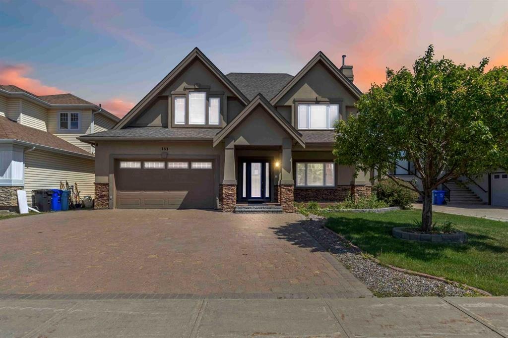 151 Wild Rose - Main Image