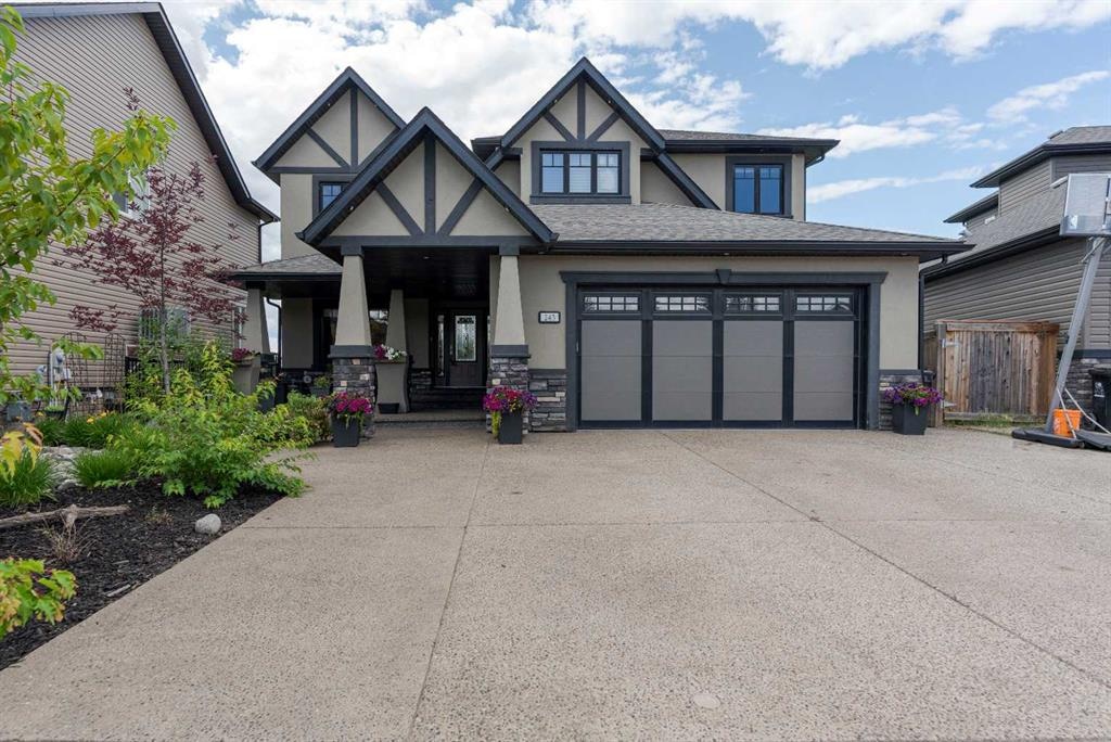 243 Wild Rose - Main Image