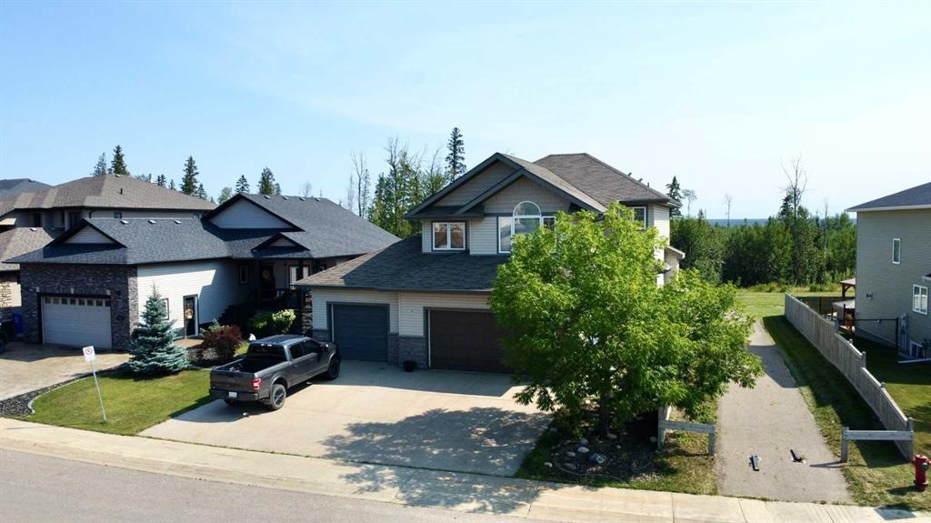 199 Wild Rose - Main Image