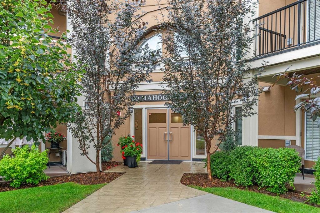 30 Mahogany - Main Image