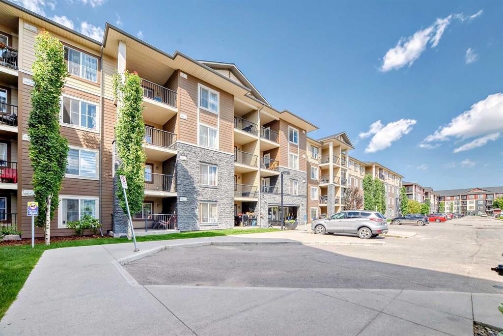 81 Legacy - Main Image