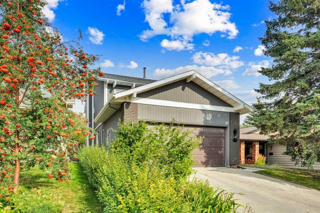235 Coachwood - Main Image