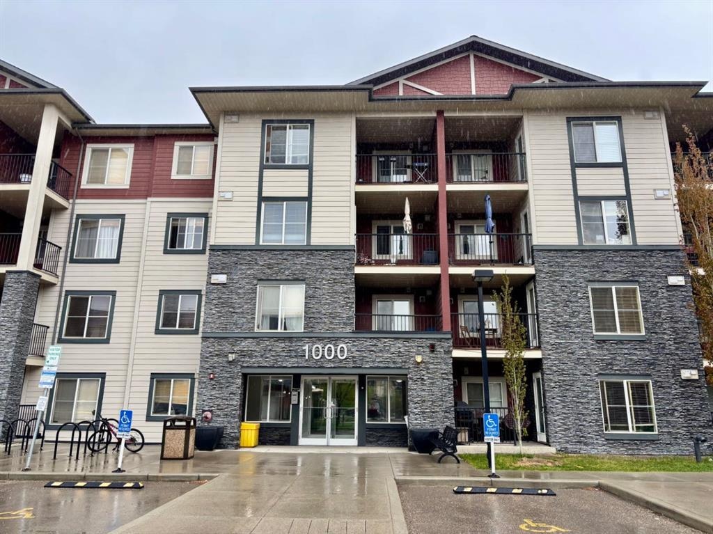 81 Legacy - Main Image