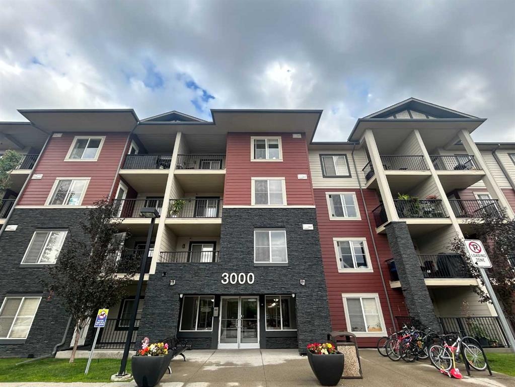 81 Legacy - Main Image