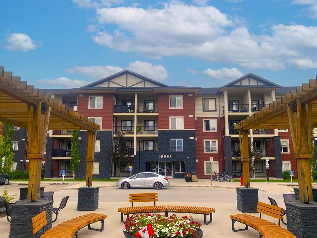 81 Legacy - Main Image