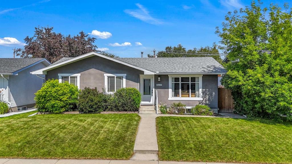 10223 Wapiti - Main Image