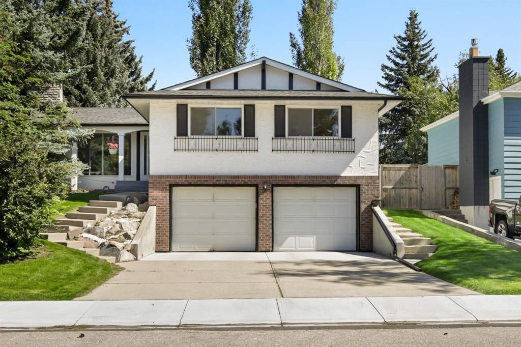 52 Palis - Main Image
