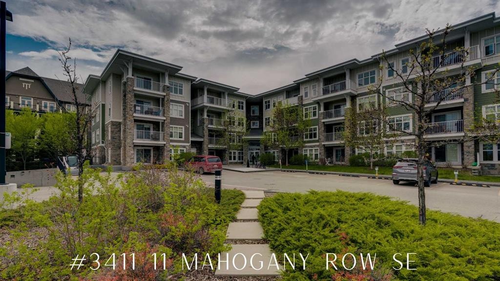 11 Mahogany - Main Image